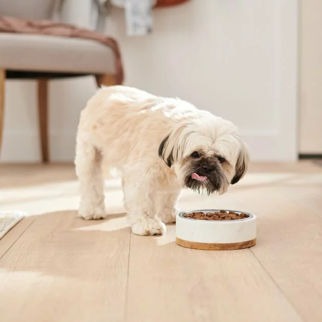 Frisco Marble Design Stainless Steel Dog & Cat Bowl with Wooden Base 5 Frisco Marble Design Stainless Steel Dog & Cat Bowl with Wooden Base - Image 3