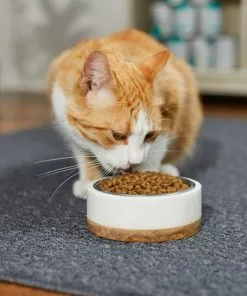 Frisco Marble Design Stainless Steel Dog & Cat Bowl with Wooden Base 12 Frisco Marble Design Stainless Steel Dog & Cat Bowl with Wooden Base -Dog Cat Corner 277554 PT3. SY630 V1630347923