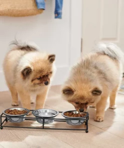 Frisco Straight Triple Feeder Stainless Steel Dog & Cat Bowl -Dog Cat Corner 277568 PT2. SY630 V1630346795