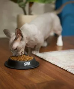 Frisco Fish Bone Print Non-Skid Stainless Steel Cat Bowl 9 Frisco Fish Bone Print Non-Skid Stainless Steel Cat Bowl -Dog Cat Corner 277582 PT3. SY630 V1630348120