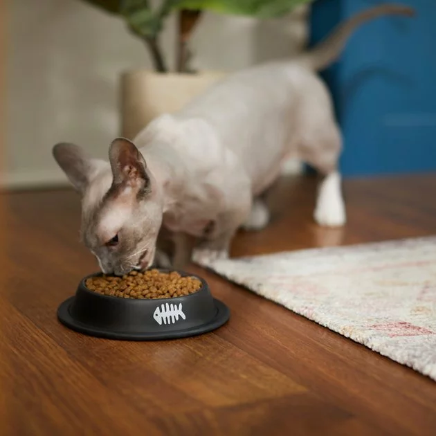 Frisco Fish Bone Print Non-Skid Stainless Steel Cat Bowl 5 Frisco Fish Bone Print Non-Skid Stainless Steel Cat Bowl - Image 3