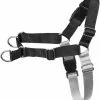 Frisco Basic No Pull Harness -Dog Cat Corner 277871 MAIN. SY630 V1629765595