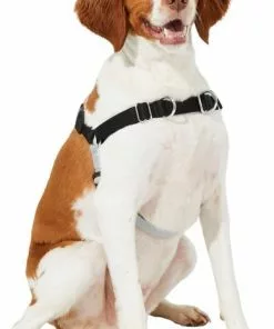 Frisco Basic No Pull Harness -Dog Cat Corner 277871 PT3. SY630 V1629755870