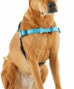 Frisco Padded Reflective No Pull Harness -Dog Cat Corner 277892 PT3. SY630 V1629758833