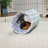 Frisco Small Pet Geometric Crinkle Plush Tunnel -Dog Cat Corner 278125 MAIN. SY630 V1629465653