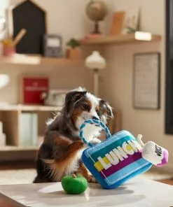 Frisco Lunchbox with Juice & Apple Plush with Rope Squeaky Dog Toy, 3 count 7 Frisco Lunchbox with Juice & Apple Plush with Rope Squeaky Dog Toy, 3 count -Dog Cat Corner 279427 PT3. SY630 V1628191372