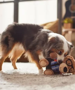 Frisco Bear Plush Squeaky Dog Toy -Dog Cat Corner 279433 PT3. SY630 V1628191002