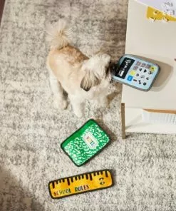 Frisco Essentials Flat Plush Squeaky Dog Toy, 3 count -Dog Cat Corner 279441 PT3. SY630 V1628191301