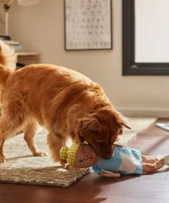 Frisco School Lunch Lady Plush Squeaky Dog Toy -Dog Cat Corner 279449 PT3. SY630 V1628191320