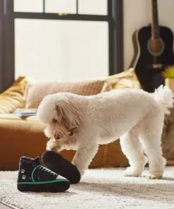 Frisco Sneakers Plush Squeaky Dog Toy, 2 count 7 Frisco Sneakers Plush Squeaky Dog Toy, 2 count -Dog Cat Corner 279453 PT3. SY630 V1628191213