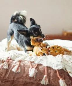 Frisco Kangaroo & Joey Plush Squeaky Dog Toy, 2 count -Dog Cat Corner 285601 PT3. SY630 V1629725095