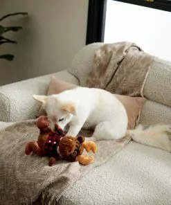 Frisco Hipster Moose Plush Squeaky Dog Toy -Dog Cat Corner 285603 PT3. SY630 V1629725389