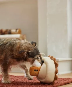 Frisco Grandma Sophie's Pumpkin Pie 2-in-1 Plush Squeaky Dog Toy -Dog Cat Corner 285607 PT3. SY630 V1629725085