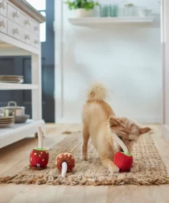 Frisco Candy Apples Plush Squeaky Dog Toy, 3 count -Dog Cat Corner 285621 PT3. SY630 V1629724890