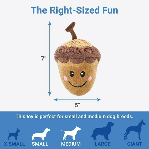 Frisco Fall Acorn Plush Squeaky Dog Toy 4 Frisco Fall Acorn Plush Squeaky Dog Toy - Image 2