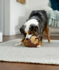 Frisco Fall Acorn Plush Squeaky Dog Toy 7 Frisco Fall Acorn Plush Squeaky Dog Toy -Dog Cat Corner 285623 PT3. SY630 V1629725222