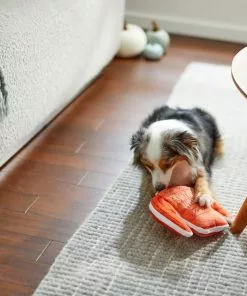 Frisco Sweater Weather Flat Plush Squeaky Dog Toy -Dog Cat Corner 285635 PT3. SY630 V1629725212