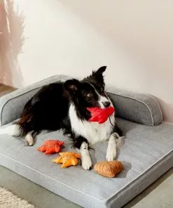 Frisco Fall Leaves Plush Squeaky Dog Toy, 4 count -Dog Cat Corner 285637 PT3. SY630 V1629725195