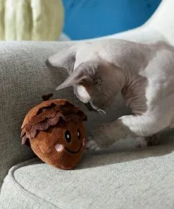 Frisco Fall Acorn Plush Cat Toy with Catnip -Dog Cat Corner 285645 PT3. SY630 V1629725413