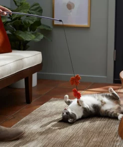 Frisco Fall Acorn & Leaves Teaser Cat Toy with Catnip -Dog Cat Corner 285651 PT3. SY630 V1629725347