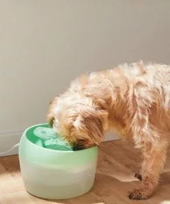 Frisco Whimsical Leaf Round Dog & Cat Fountain, 50-oz, Mint Green -Dog Cat Corner 285758 PT4. SY630 V1623428580