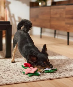 Frisco Flowers Plush Squeaky Dog Toy, 3 count -Dog Cat Corner 287161 PT3. SY630 V1632773103