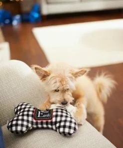 Frisco Holiday "All Is Bright" Reversible Bone Plush Squeaky Dog Toy -Dog Cat Corner 287191 PT3. SY630 V1632773193