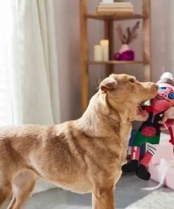 Frisco Zombie Plush with Rope Squeaky Dog Toy -Dog Cat Corner 287221 PT3. SY630 V1632776815