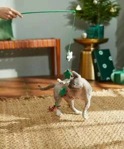 Frisco Holiday Winter Flowers Teaser Cat Toy with Catnip -Dog Cat Corner 287275 PT3. SY630 V1632774653