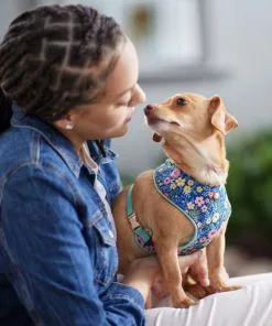 Frisco Fashion Over-The-Head Harness, Tropical Floral -Dog Cat Corner 287471 PT8. SY630 V1632316061