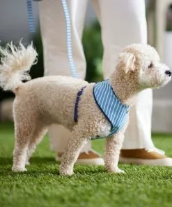 Frisco Fashion Over-The-Head Harness, Striped -Dog Cat Corner 287474 PT8. SY630 V1632316647
