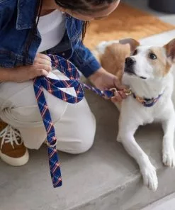 Frisco Fashion Leash, Brown Plaid -Dog Cat Corner 287491 PT8. SY630 V1632317010