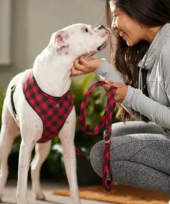Frisco Fashion Leash, Buffalo Plaid -Dog Cat Corner 287498 PT8. SY630 V1632315183