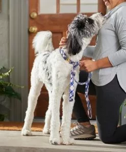 Frisco Fashion Leash, Pink Plaid -Dog Cat Corner 287499 PT8. SY630 V1632316895