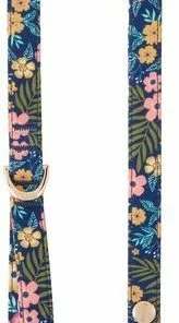 Frisco Fashion Leash, Tropical Floral -Dog Cat Corner 287502 PT2. SY630 V1632317225