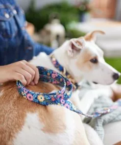 Frisco Fashion Leash, Tropical Floral -Dog Cat Corner 287502 PT8. SY630 V1632315857