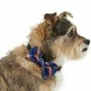 Frisco Fashion Bow, Blue Plaid, XS/SM 2 Frisco Fashion Bow, Blue Plaid, XS/SM -Dog Cat Corner 287528 MAIN. SY630 V1632279078
