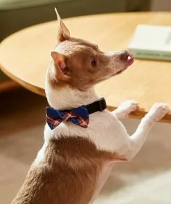 Frisco Fashion Bow, Blue Plaid, XS/SM 11 Frisco Fashion Bow, Blue Plaid, XS/SM -Dog Cat Corner 287528 PT8. SY630 V1632316622