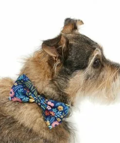 Frisco Fashion Bow, Tropical Floral