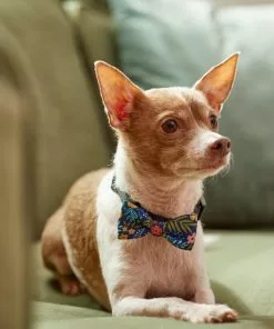 Frisco Fashion Bow, Tropical Floral 11 Frisco Fashion Bow, Tropical Floral -Dog Cat Corner 287529 PT8. SY630 V1632315568