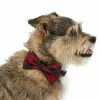 Frisco Removeable Fashion Collar Bow, Buffalo Plaid 1 Frisco Removeable Fashion Collar Bow, Buffalo Plaid -Dog Cat Corner 287530 MAIN. SY630 V1632279095