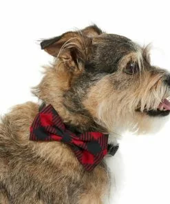 Frisco Removeable Fashion Collar Bow, Buffalo Plaid