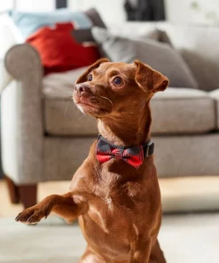 Frisco Removeable Fashion Collar Bow, Buffalo Plaid -Dog Cat Corner 287530 PT8. SY630 V1632316295