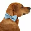 Frisco Fashion Bow, Striped -Dog Cat Corner 287532 MAIN. SY630 V1632279166