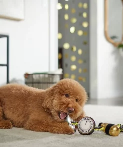 Frisco New Year's Eve Midnight Countdown Plush with Rope Squeaky Dog Toy -Dog Cat Corner 288478 PT3. SY630 V1638289625