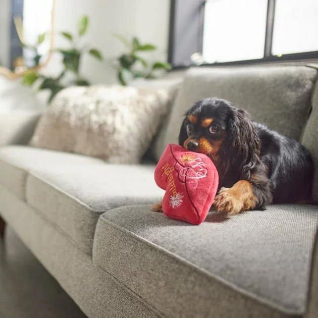 Frisco New Year's Eve Midnight Kiss Plush Squeaky Dog Toy 5 Frisco New Year's Eve Midnight Kiss Plush Squeaky Dog Toy - Image 3