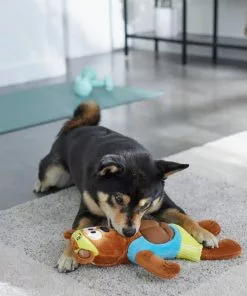 Frisco Fitness Bear Reversible Plush Squeaky Dog Toy -Dog Cat Corner 288897 PT3. SY630 V1638291713