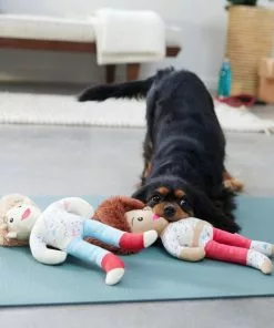 Frisco Dance Girls Plush Squeaky Dog Toy, 2 count -Dog Cat Corner 288899 PT3. SY630 V1638288432