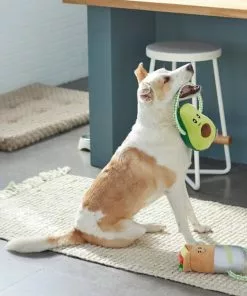 Frisco Healthy Snack Plush with Rope Dog Toy, 2 count -Dog Cat Corner 288901 PT3. SY630 V1638291173