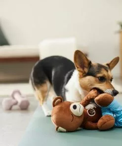 Frisco Yoga Bear Plush Squeaky Dog Toy 7 Frisco Yoga Bear Plush Squeaky Dog Toy -Dog Cat Corner 288903 PT3. SY630 V1638288516